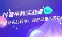 (3989)抖音电商实战课:0粉起号实战教学,自然流量的天花板(2月19最新)
