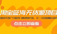 (3998)淘宝蓝海无货源项目,不囤货不推广只做冷门高利润代发,花一半时间赚10倍钱