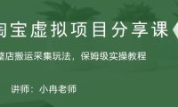 (4026)淘宝虚拟整店搬运采集玩法分享课:整店搬运采集玩法,保姆级实操教程