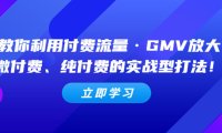 （4049）教你利用付费流量·GMV放大，微付费、纯付费的实战型打法！