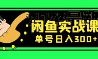(4062)花599买的闲鱼项目:2023最新闲鱼实战课,单号日入300+(7节课)
