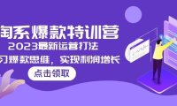 (4064)2023淘系爆款特训营,2023最新运营打法,学习爆款思维,实现利润增长