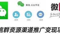 (4080)VX群码资源渠道内循环推广变现项目,多种变现方式,打通你的管道收益