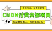 (4084)CNDN付费资源项目,不用引流,无需做客服,后期被动收入,每天稳定300+
