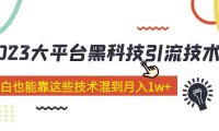 （4085）价值4899的2023大平台黑科技引流技术 小白也能靠这些技术混到月入1w+29节课