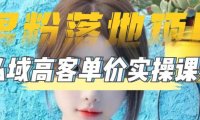 (4100)【男粉落地项目】0基础玩转男粉短视频转私域日产500+2023男粉高客单价实操