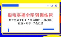 (4126)淘宝实操全系列训练营 新手到高手进阶·覆盖·99%知识 看透·对手 学会运营