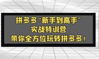 (4127)拼多多“新手到高手”实战特训营:带你全方位玩转拼多多!