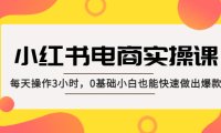 (4151)小红书·电商实操课:每天操作3小时,0基础小白也能快速做出爆款!
