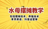 (4157)水母·摆摊教学,包括摆摊技术、养殖技术、拿货渠道、抖音运营等