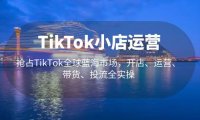 (4161)TikTok小店运营 抢占TikTok全球蓝海市场,开店、运营、带货、投流全实操
