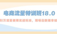 (4192)电商流量特训班18.0,直引万流量破局实操玩法,现场出数据拿结果