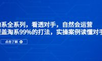 (4193)淘系全系列,看透对手,自然会运营,覆盖淘系99%·打法,实操案例读懂对手