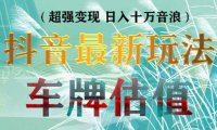 （4197）抖音最新无人直播变现直播车牌估值玩法项目 轻松日赚几百+【详细玩法教程】