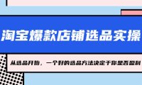 (4203)淘宝爆款店铺选品实操,2023从选品开始,一个好的选品方法决定于你是否盈利