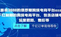 （4208）俄罗斯跨境电商平台ozon运营，包含店铺申请，运营思路，售后等（无水印）