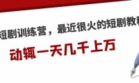 (4215)短剧训练营,最近很火的短剧教程,动辄一天几千上万的收入