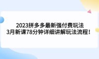(4218)2023拼多多最新强付费玩法,3月新课78分钟详细讲解玩法流程!