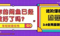 （4246）火爆全网的咸鱼玩法进阶课程，单号日入1K的咸鱼进阶课程