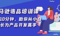(4255)亚马逊选品培训课,每天10分钟,助你从小白成长为产品开发高手!