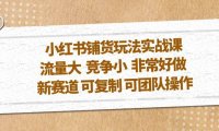 （4256）小红书铺货玩法实战课，流量大 竞争小 非常好做 新赛道 可复制 可团队操作