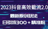 (4262)日引300+创业粉,独家抖音高效截流2.0玩法(价值1280)