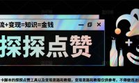 （4273）最新探探全自动点赞引流，配合男粉变现思路轻松日赚500+【脚本+教程】