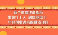 (4278)新个体搞钱训练营:带领打工人 副业操盘手 年轻创业者拆解赚钱项目