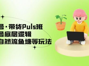 （3960）视频号·带货Puls班，视频号底层逻辑，起号自然流鱼塘等玩法