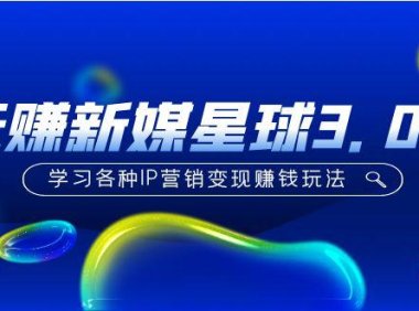 (3965)《玩赚新媒星球3.0版》学习各种IP营销变现赚钱玩法(价值498)