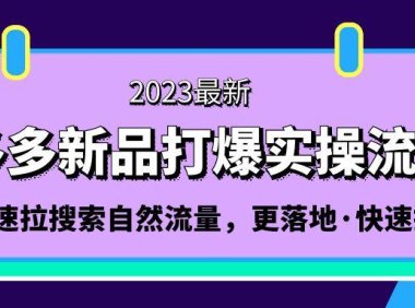 (3970)拼多多-新品打爆实操流程:轻松快速拉搜索自然流量,更落地·快速提升!