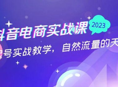 (3989)抖音电商实战课:0粉起号实战教学,自然流量的天花板(2月19最新)