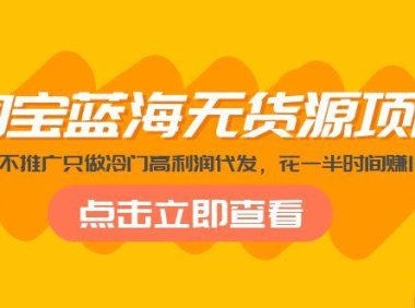 (3998)淘宝蓝海无货源项目,不囤货不推广只做冷门高利润代发,花一半时间赚10倍钱
