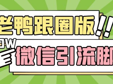 （3999）【引流必备】微信唐老鸭全功能引流爆粉 功能齐全【永久脚本+详细教程】