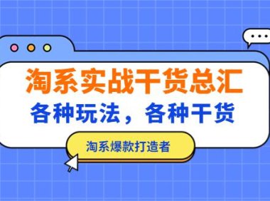(4004)淘宝实战干货总汇:各种玩法,各种干货,淘系爆款打造者!