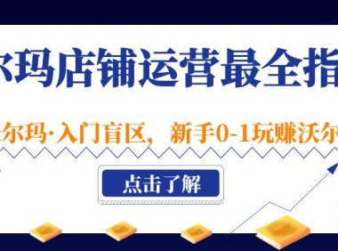(4010)沃尔玛店铺·运营最全指南,挖掘·沃尔玛·入门盲区,新手0-1玩赚沃尔玛