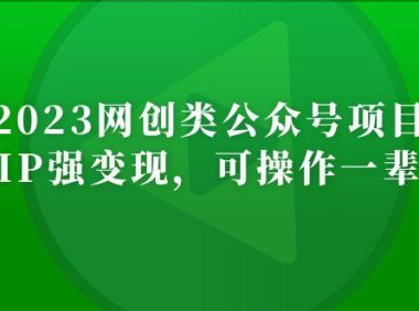 (4031)2023网创类公众号月入过万项目,强IP强变现,可操作一辈子