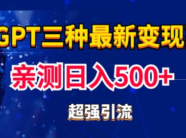(4045)实操日入500+的chatGPT三种变现副业:有手就行的暴力引流【教程+源码】