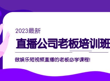 （4048）直播公司老板培训班：做娱乐短视频直播的老板必学课程！