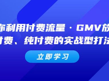 （4049）教你利用付费流量·GMV放大，微付费、纯付费的实战型打法！