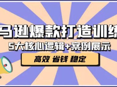 (4051)亚马逊爆款打造训练营:5大核心逻辑+案例展示 打造爆款链接 高效 省钱 稳定