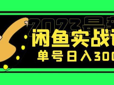 (4062)花599买的闲鱼项目:2023最新闲鱼实战课,单号日入300+(7节课)