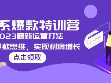 (4064)2023淘系爆款特训营,2023最新运营打法,学习爆款思维,实现利润增长