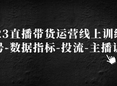 （4065）2023直播带货运营线上训练营，起号-数据指标-投流-主播训练