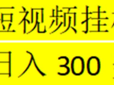 (4076)海外暴力短视频挂机全自动撸美刀 单机日入300美刀+【脚本免费+一对一指导】
