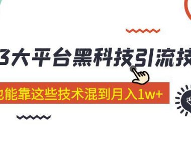 （4085）价值4899的2023大平台黑科技引流技术 小白也能靠这些技术混到月入1w+29节课