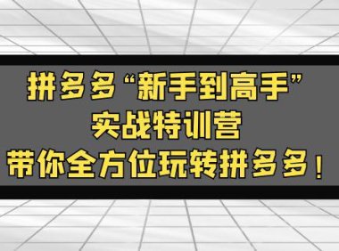 (4127)拼多多“新手到高手”实战特训营:带你全方位玩转拼多多!