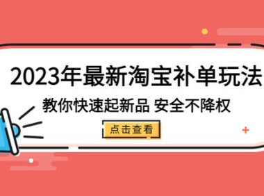 (4128)2023年最新淘宝补单玩法,教你快速起·新品,安全·不降权(18课时)