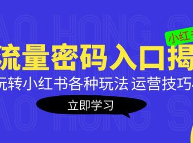 (4136)小红书流量密码入口揭秘:带你玩转小红书各种玩法 运营技巧+优化!