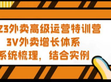 (4137)2023外卖高级运营特训营:3V外卖-增长体系,系统-梳理,结合-实例